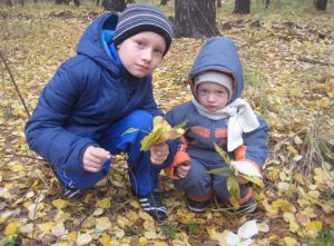 Изображение Букеты из осенних листьев на Schoolofcare.ru!