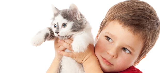 Изображение Аллергия на животных у детей на Schoolofcare.ru!