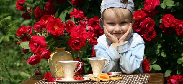 Изображение Можно ли детям чай на Schoolofcare.ru!