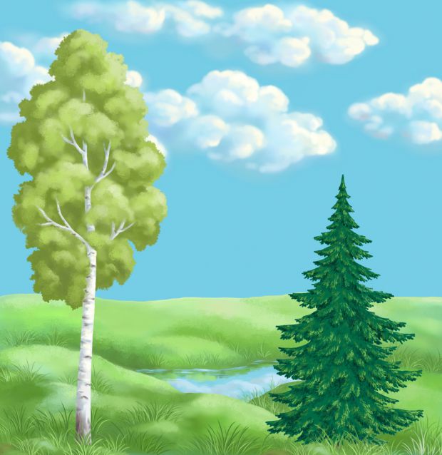 Изображение Урок седьмой. А почему елки не сбрасывают иголки? на Schoolofcare.ru!